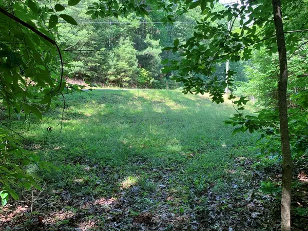 Ellijay, GA 30540,LOT 35 Maple Rest Trail