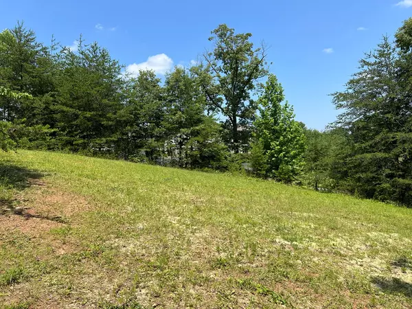 Hiawassee, GA 30546,Lots Nantahala