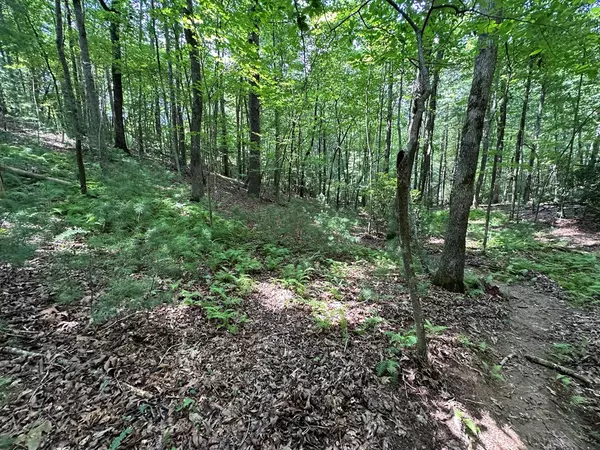 Ellijay, GA 30540,Lot 433 Seneca Dr