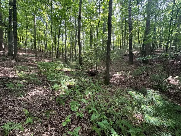 Ellijay, GA 30540,Lot 433 Seneca Dr