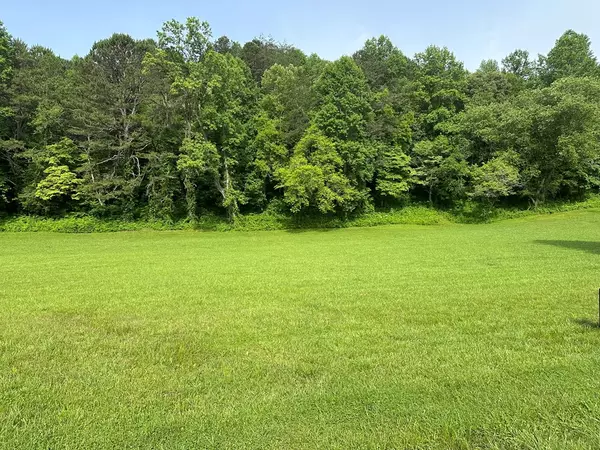 Warne, NC 28909,Lot 45 Prosperity Dr