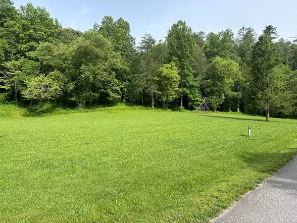 Warne, NC 28909,Lot 44 Prosperity Dr