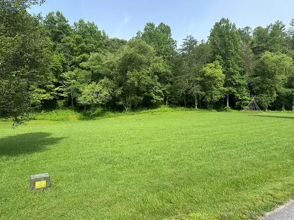 Warne, NC 28909,Lot 44 Prosperity Dr