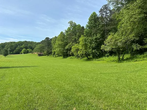 Warne, NC 28909,Lot 44 Prosperity Dr