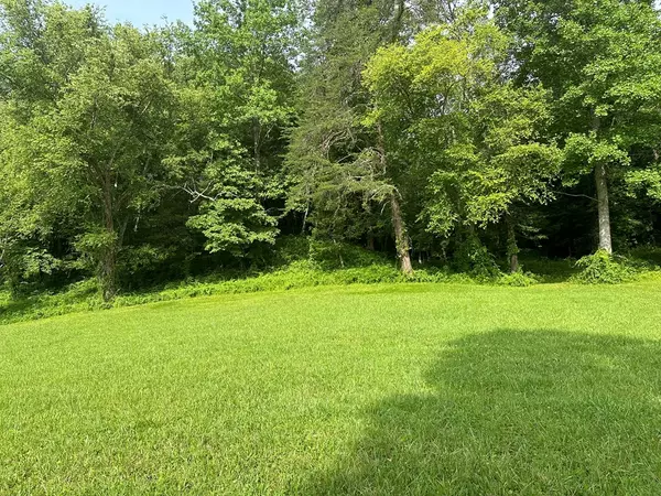 Warne, NC 28909,Lot 43 Prosperity Dr