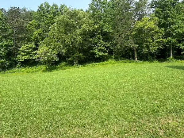 Warne, NC 28909,Lot 43 Prosperity Dr