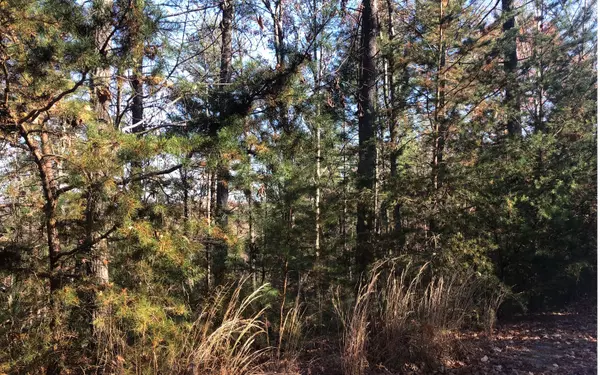 Blairsville, GA 30512,LOT12 Apple Valley