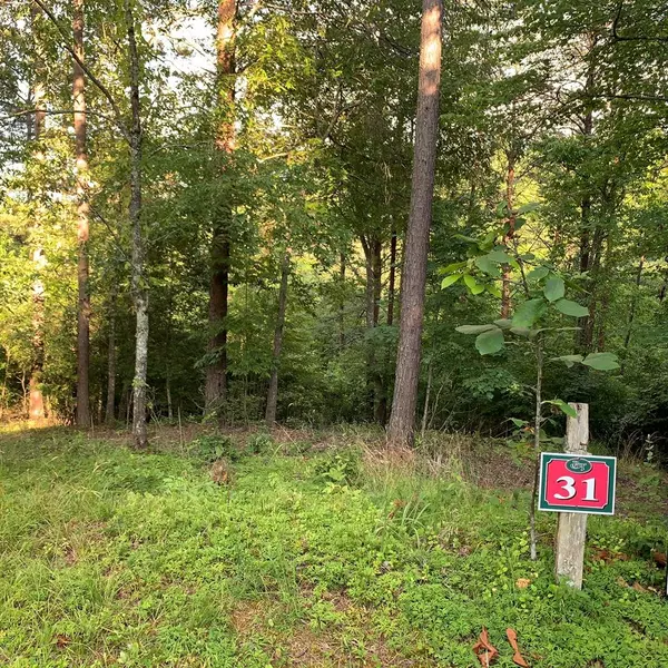 Warne, NC 28909,Lot 31 Gobbler View