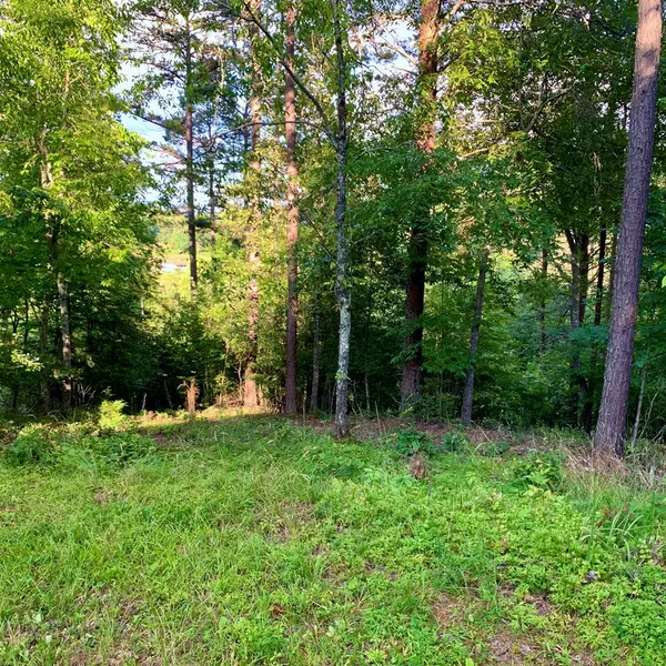 Warne, NC 28909,Lot 31 Gobbler View