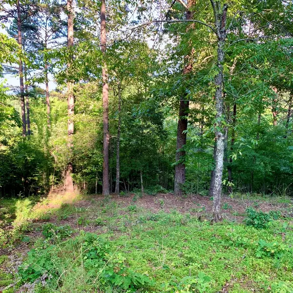 Warne, NC 28909,Lot 31 Gobbler View