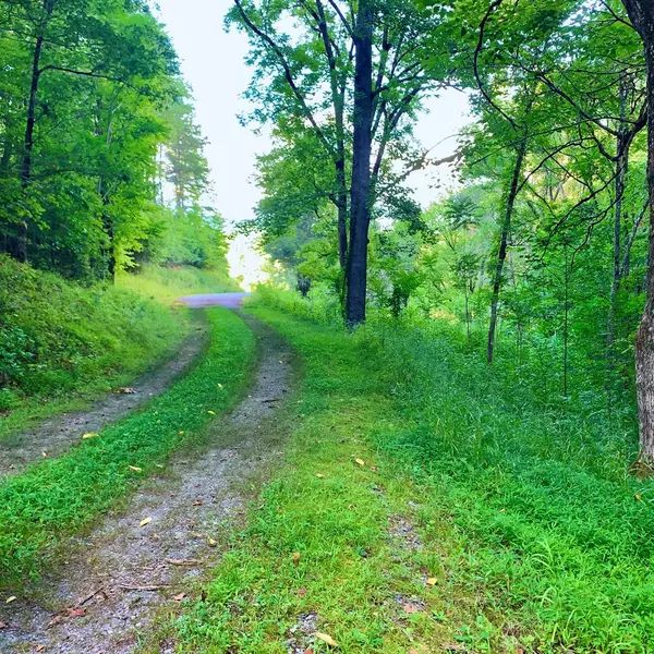 Warne, NC 28909,Lot 27 Solo View