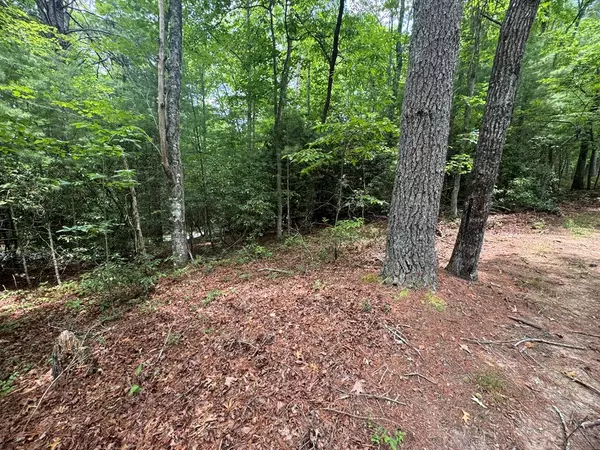 Murphy, NC 28906,Lot 1 Laurelwood Circle