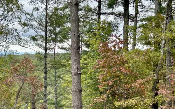 Ellijay, GA 30540,Lot 133 Jumper Drive