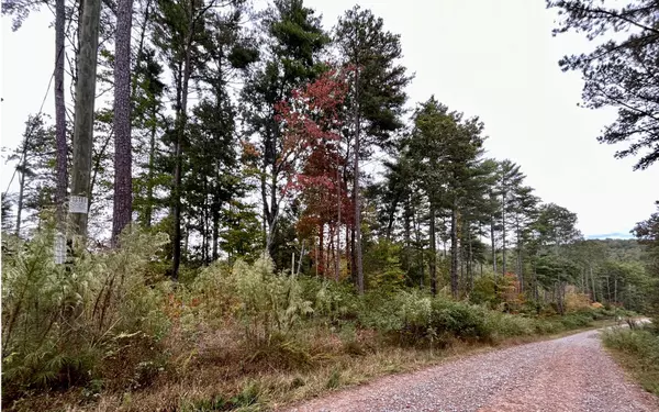 Ellijay, GA 30540,Lot 133 Jumper Drive