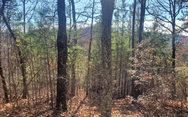 Ranger, GA 30734,691 Railey Ridge