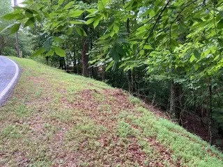 Ellijay, GA 30540,Lot 167 Tara Drive