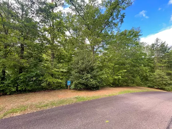 Ellijay, GA 30540,Lot 118 Beech Tree Drive