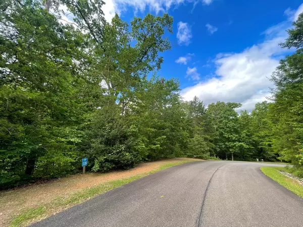 Ellijay, GA 30540,Lot 118 Beech Tree Drive