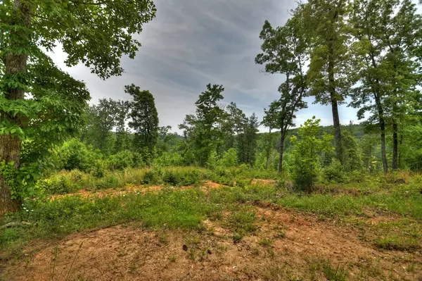 Blue Ridge, GA 30513,LOT 2 Hidden Acres