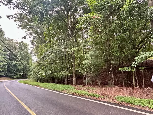 Ellijay, GA 30540,Lot 3540 Newport Drive