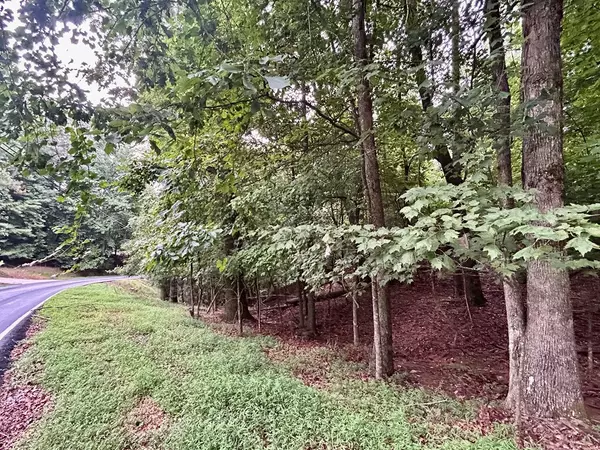 Ellijay, GA 30540,Lot 3540 Newport Drive