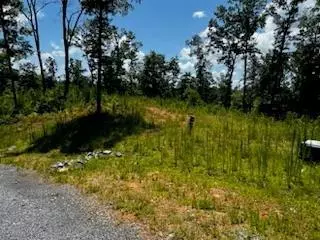 East Ellijay, GA 30540,Lot 177 Canoe Point