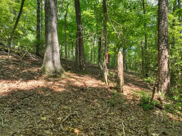 Ellijay, GA 30540,Lot 337 Tunica Lane