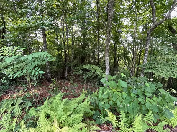 Hiawassee, GA 30546,Lot 11 Little Cove Lane