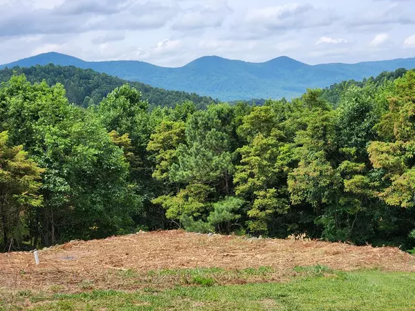 Blairsville, GA 30512,Lot 15 Summit