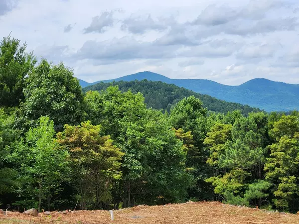 Blairsville, GA 30512,Lot 15 Summit