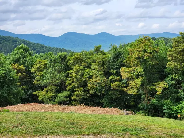 Blairsville, GA 30512,Lot 15 Summit