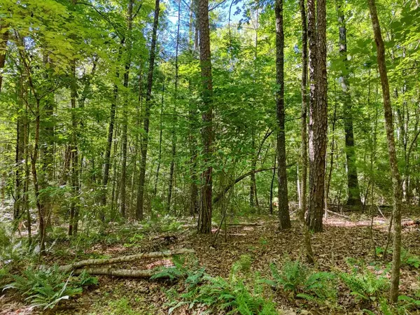 Blairsville, GA 30512,Lot 8AB Lake Breeze Lane