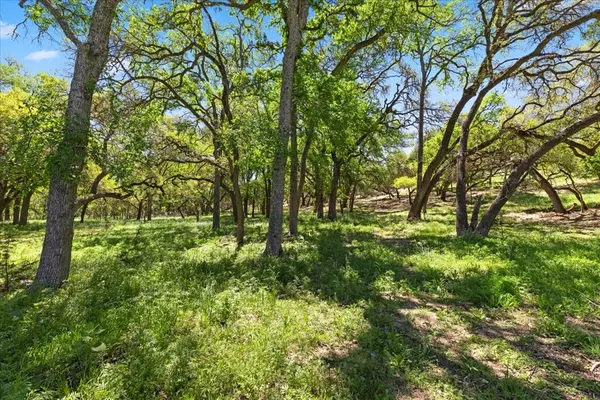 Wimberley, TX 78676,729 -- Rabbit Rd