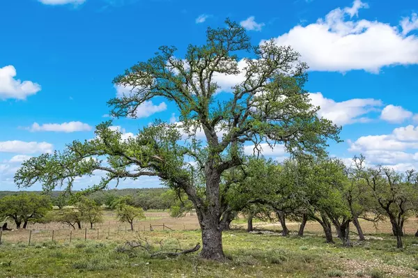 Harper, TX 78631,1379 -- Barker-Rogers