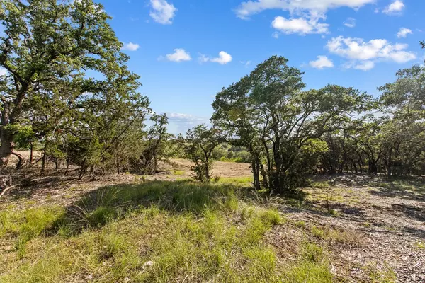 Johnson City, TX 78636,Lot 14 -- Ridgeway TRL