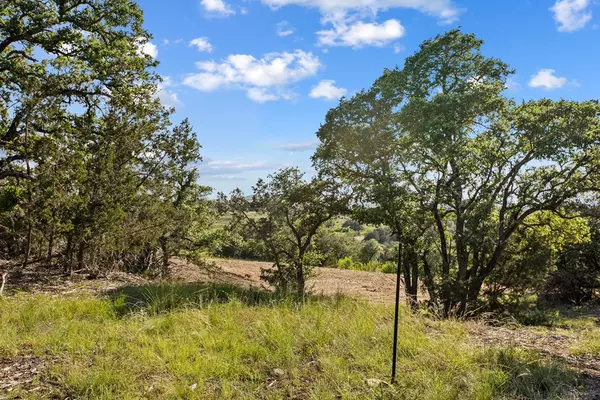 Johnson City, TX 78636,Lot 14 -- Ridgeway TRL