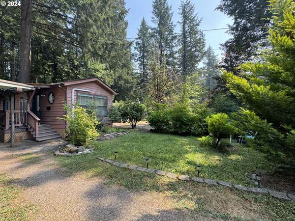 Blue River, OR 97413,55636 McKenzie River DR #9