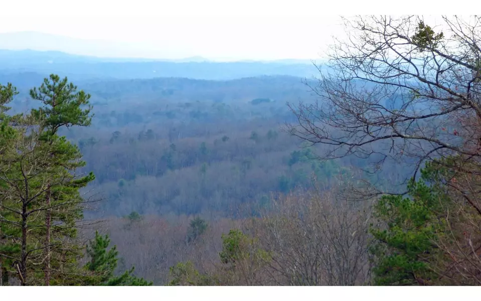 112AC Wolf Pen Gap Road, Ellijay, GA 30540