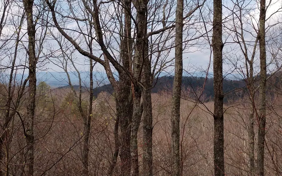 LOT 9 The Hemlocks, Ellijay, GA 30536