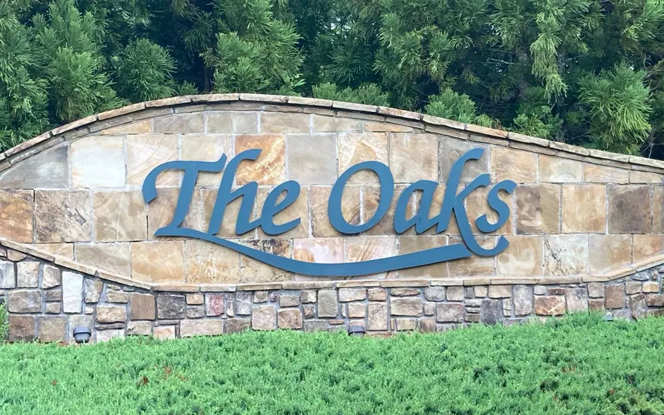 LT 59 The Oaks, Ellijay, GA 30540