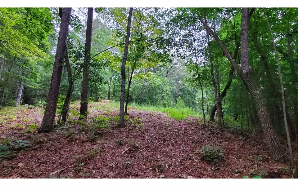 LT 5 Chimney Ridge, Ellijay, GA 30540