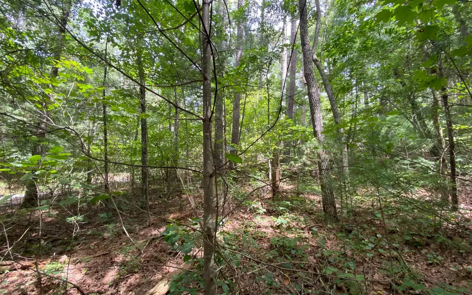 LOT4 Off John Teem Rd, East Ellijay, GA 30536