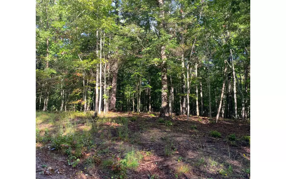 LOT 6 Renegade Ridge Road, Blairsville, GA 30512