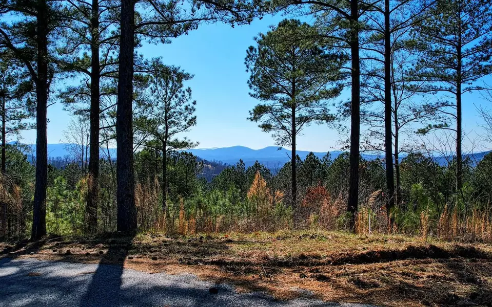 Mile High Ln Lot 14, Blairsville, GA 30512