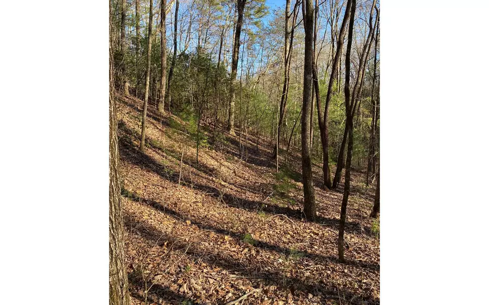 LOT24 Essex Drive, Ellijay, GA 30540