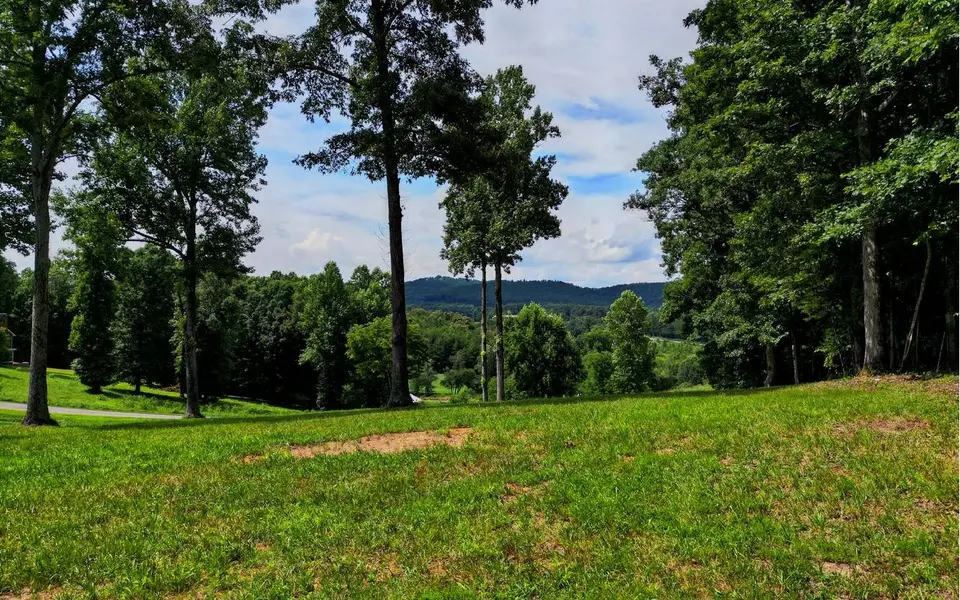 LOT21 Pleasant Meadows, Blairsville, GA 30512