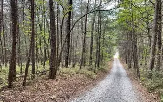 Mount Carmel Road, Morganton, GA 30560