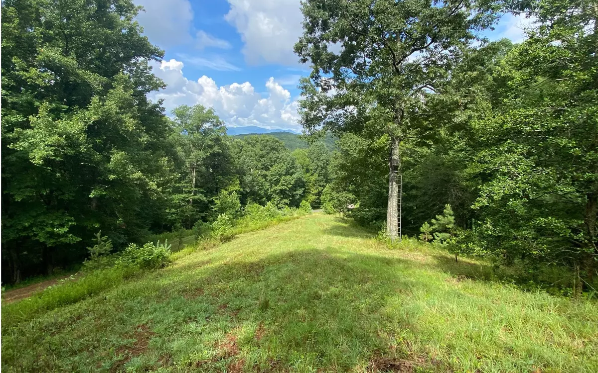 Blue Ridge, GA 30513,6-7 Mountain Field Drive