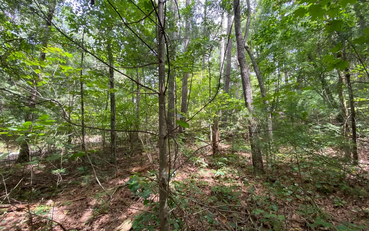 East Ellijay, GA 30536,LOT4 Off John Teem Rd