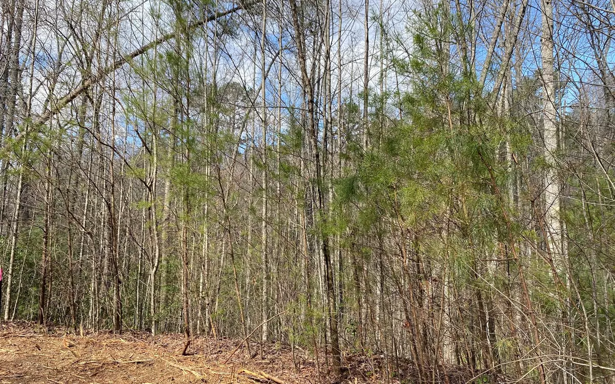 Blue Ridge, GA 30513,LOT1 Cohutta Overlook Ii